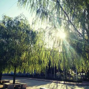 淫亂人妻西野翔
