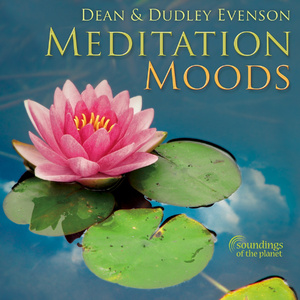 淫亂人妻西野翔
